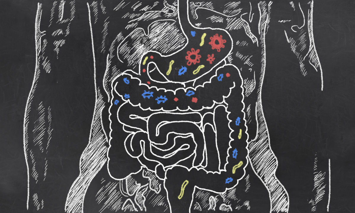 Síndrome do intestino irritável: conheça suas causas, tratamento e como indentificar o distúrbio