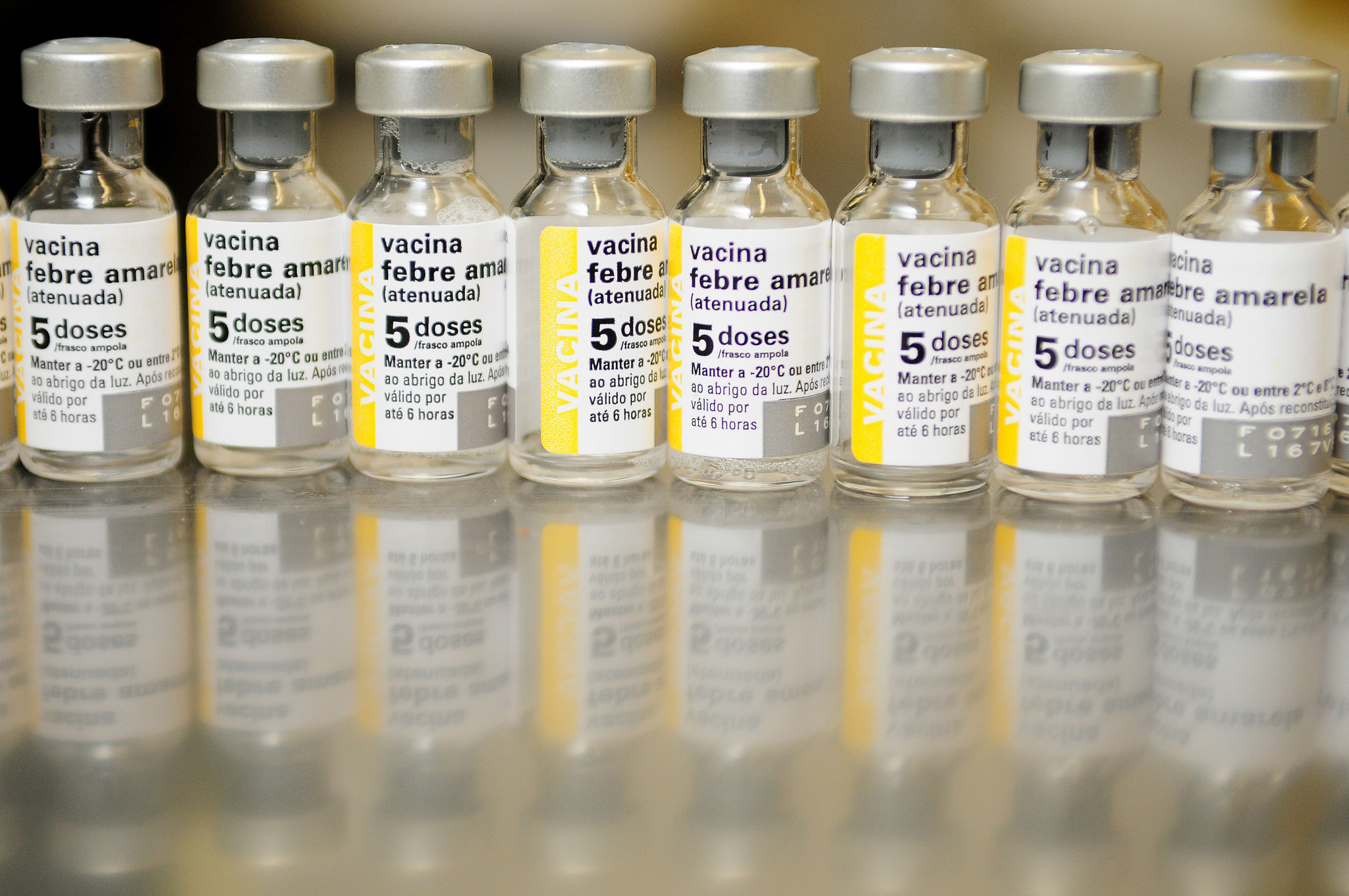 vacina febre amarela fracionada.jpg